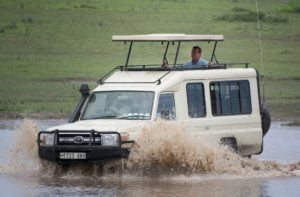 african safari company