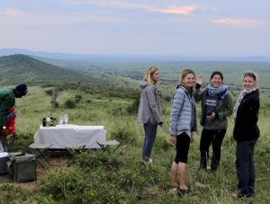 african safari travel agent