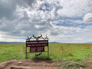 african safari travel agent