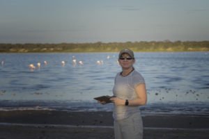 african safari travel agent