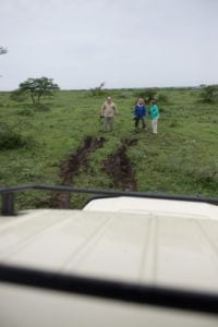 african safari travel agent