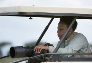 african safari travel agent