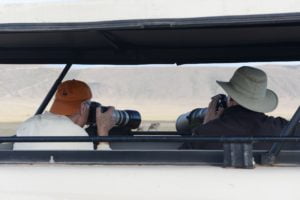 african safari travel agent