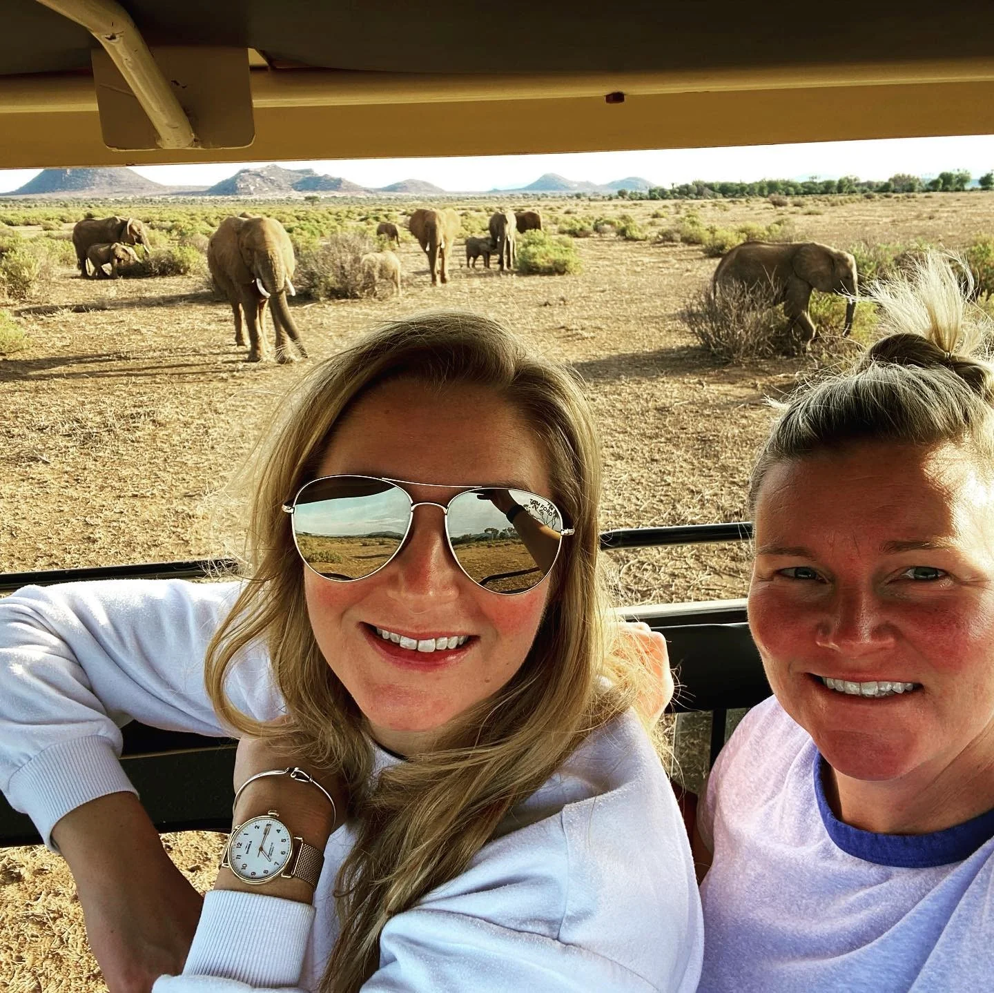 savanna tours et safaris
